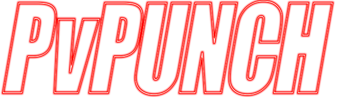 PvPunch